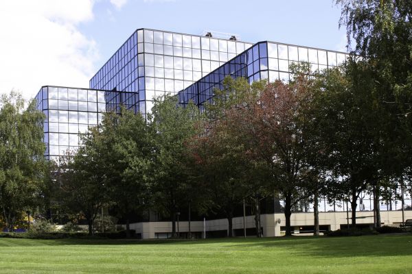 Commercial Tree Trimming in Glendale